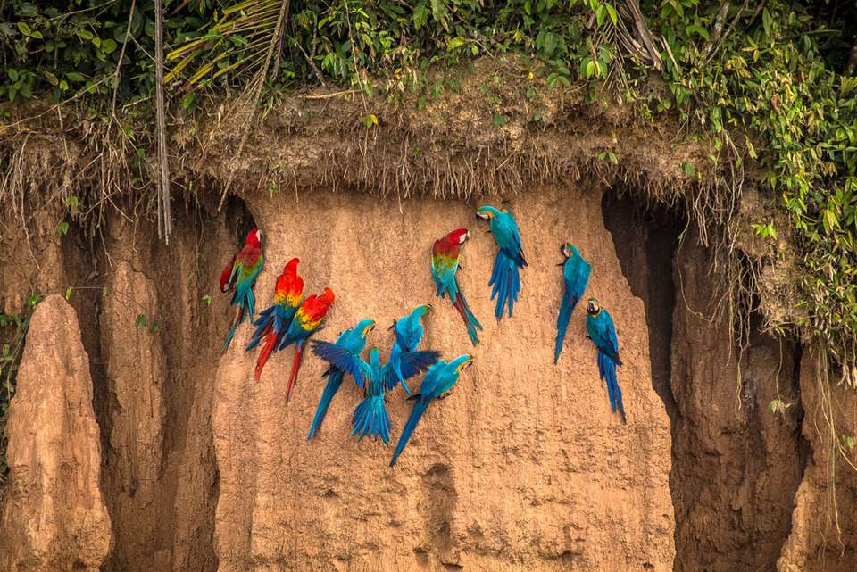 Inca Trail & Amazon Adventure - Intrepid Travel - Peru