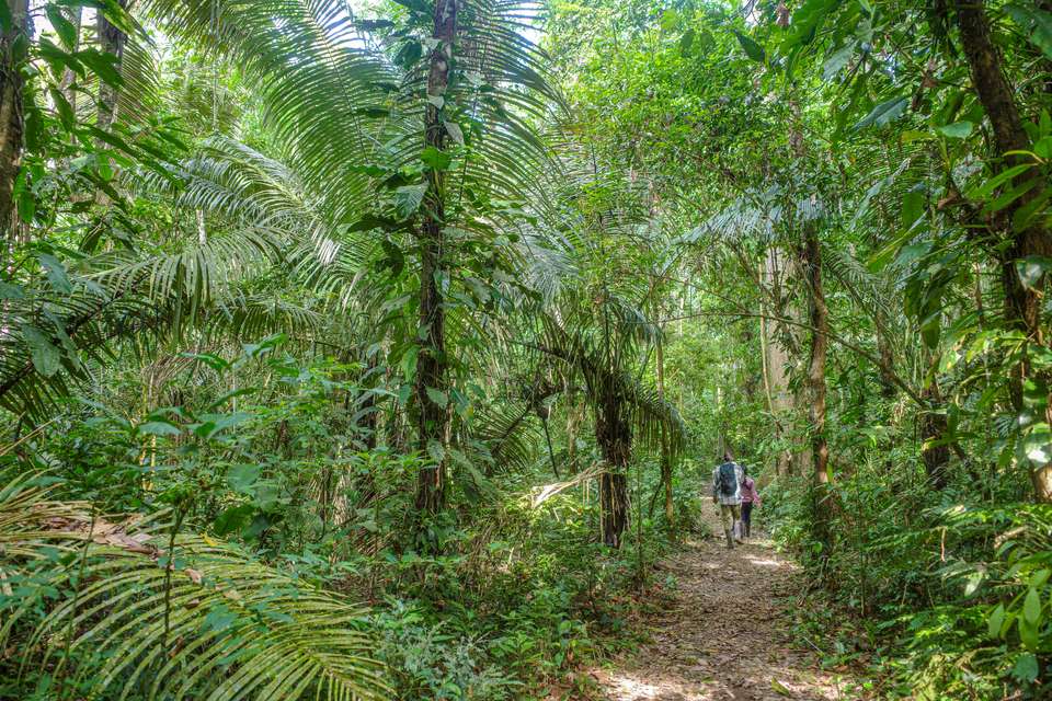 Inca Trail & the Amazon Rainforest - Exodus Adventure Travels - Peru - Image 21