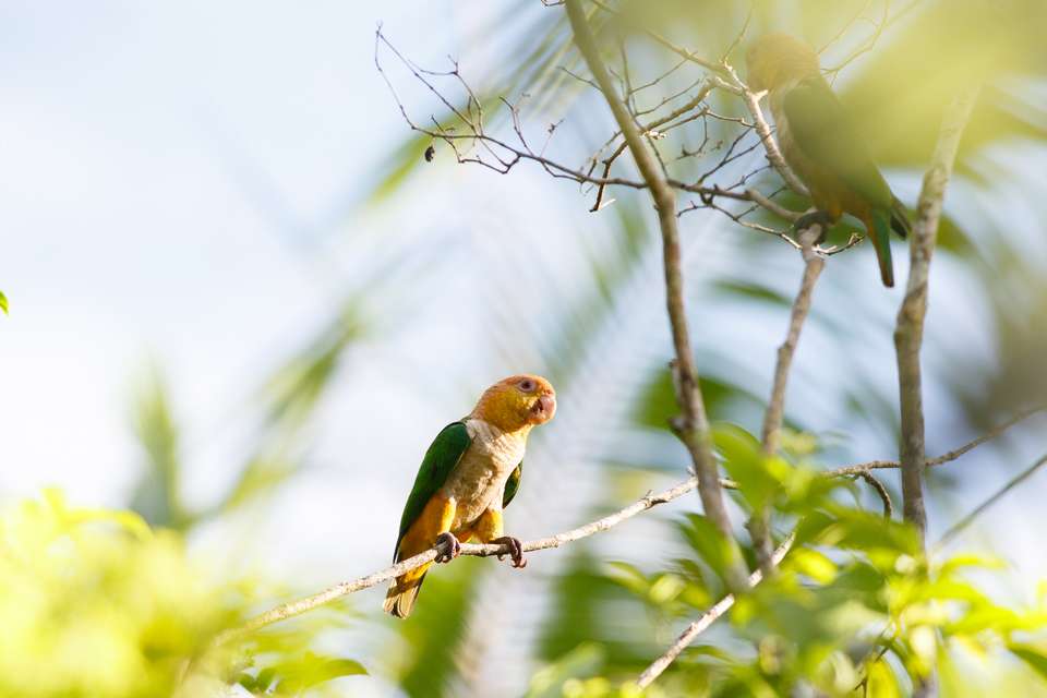 Inca Trail & the Amazon Rainforest - Exodus Adventure Travels - Peru - Image 17