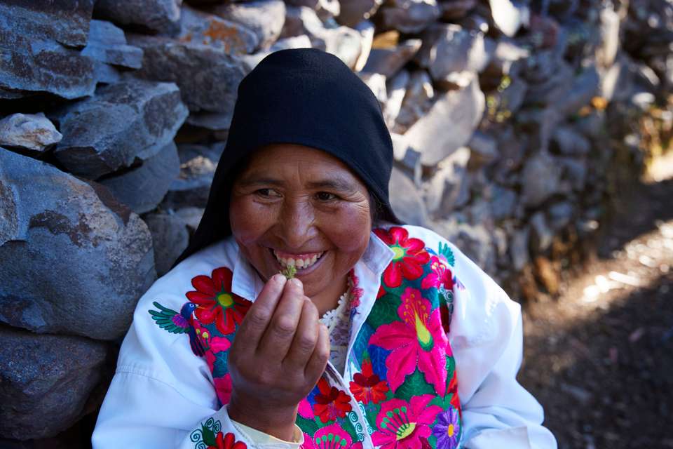 Inca Trail & the Amazon Rainforest - Exodus Adventure Travels - Peru - Image 16