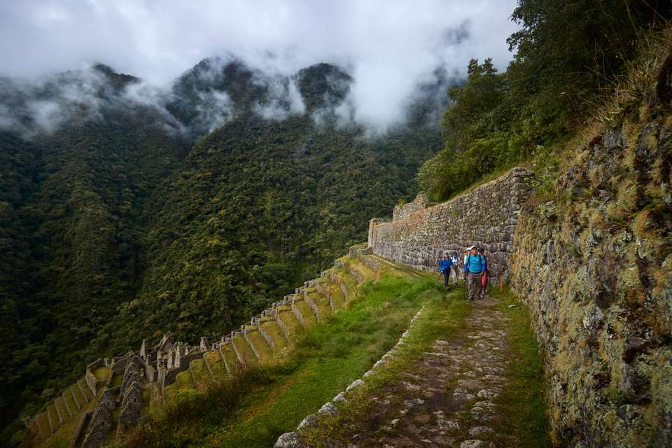 Inca Trail & the Amazon Rainforest - Exodus Adventure Travels - Peru - Image 14