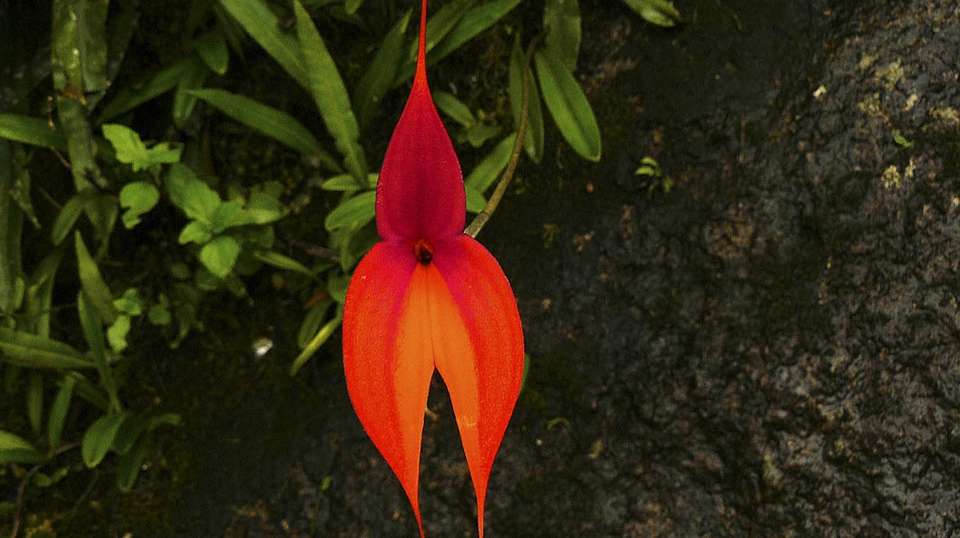 Inca Trail to Machu Picchu: 4-Day Private Tour - Valencia Travel Cusco - Peru