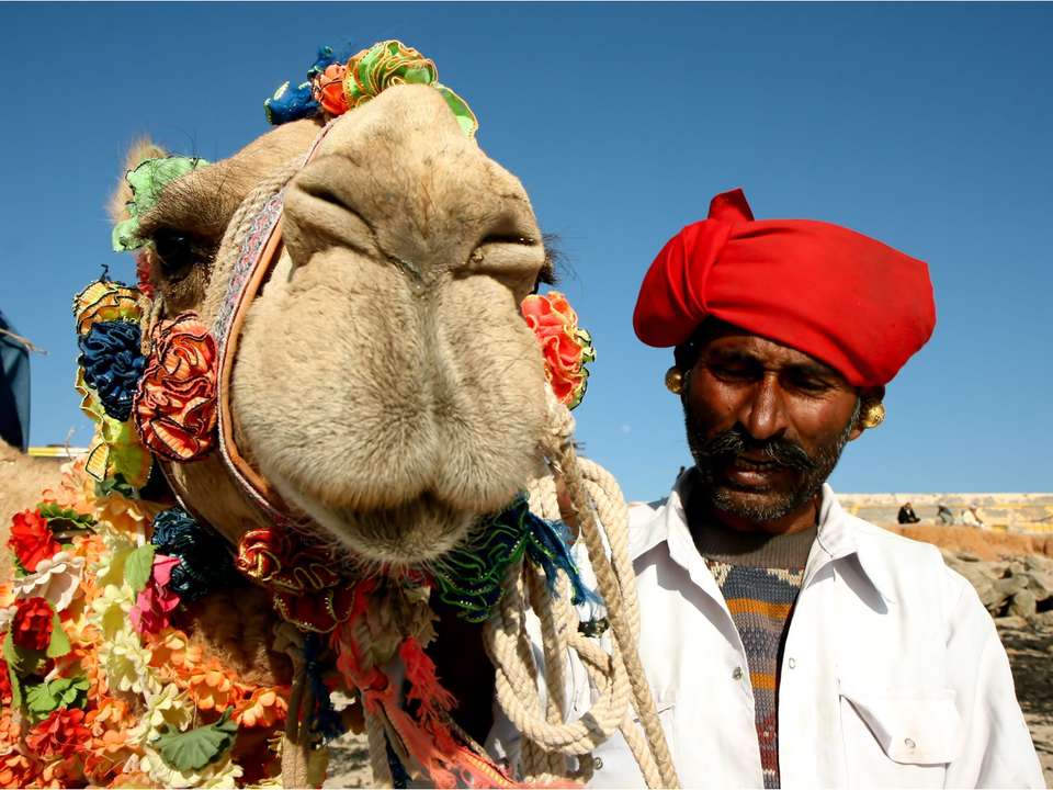 Incredible India Adventure - 14 days - undefined - Image 4