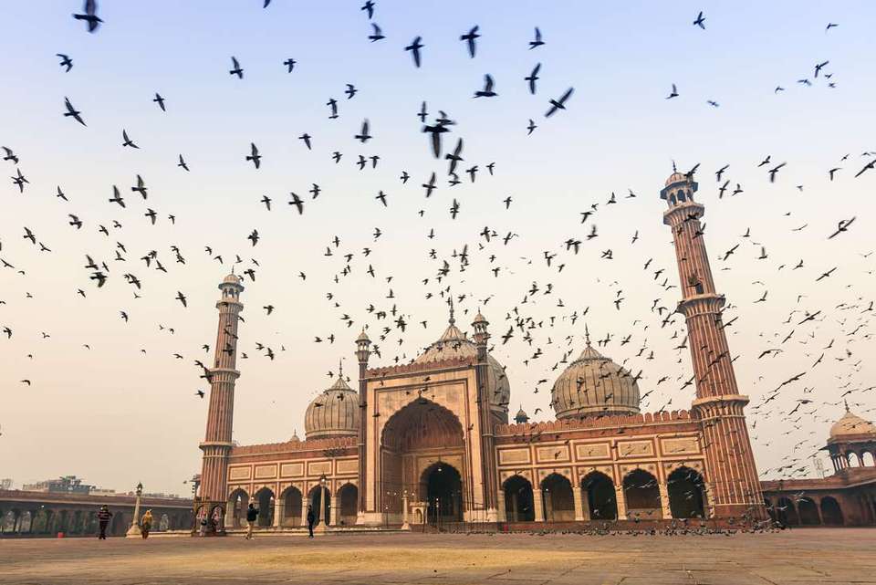 India & Nepal Adventure - Intrepid Travel - India - Image 2