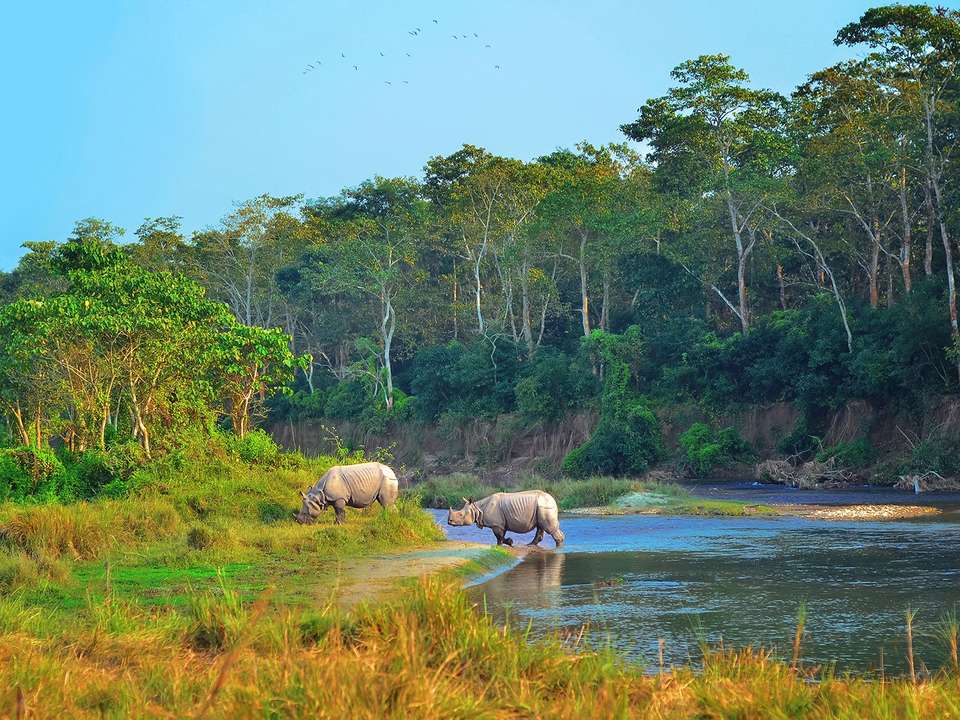 India & Nepal Uncovered - 14 days - On The Go Tours - India - Image 7