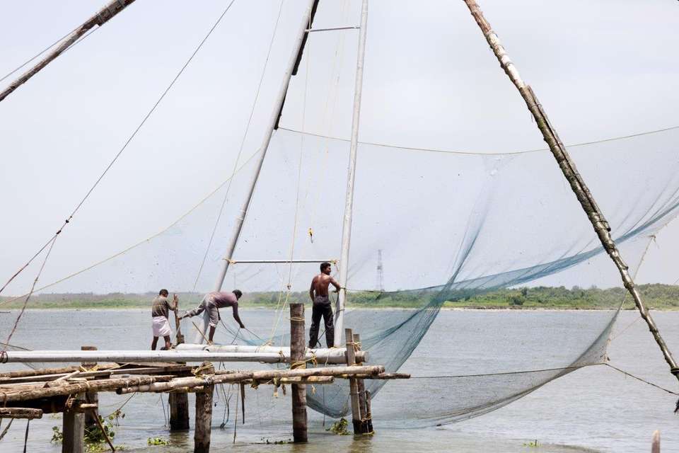 India Dravida - Destination Services - India - Image 6