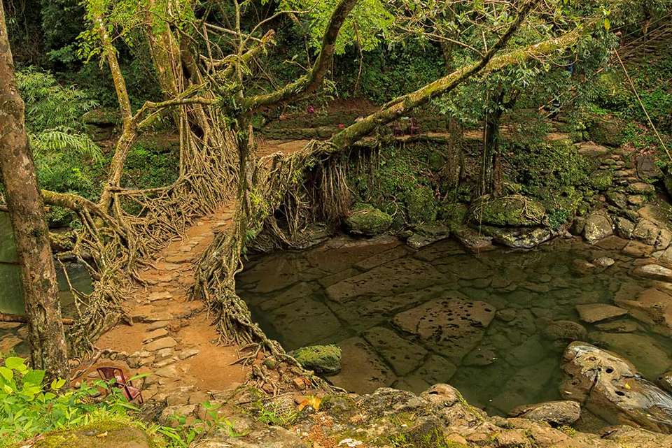 India Expedition: Sikkim, Assam & Nagaland - Intrepid Travel - India - Image 2