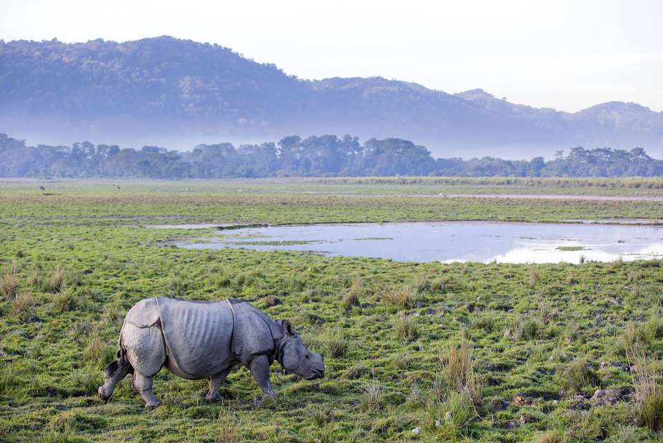 India Expedition: Sikkim, Assam & Nagaland - Intrepid Travel - India - Image 3