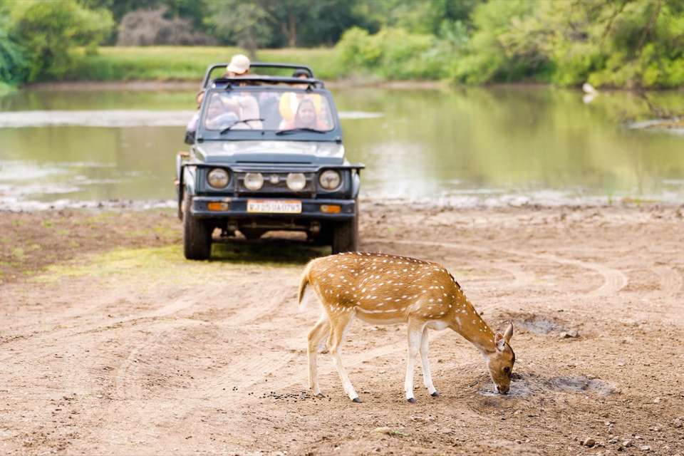 India Experience - Intro Travel - India - Image 6