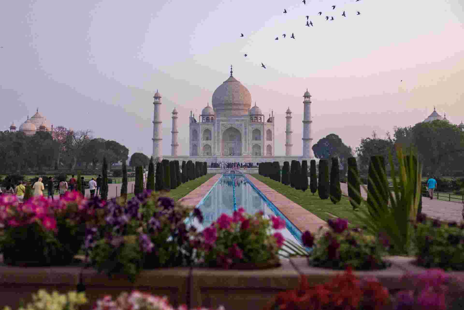 India Golden Triangle Premium Family Holiday