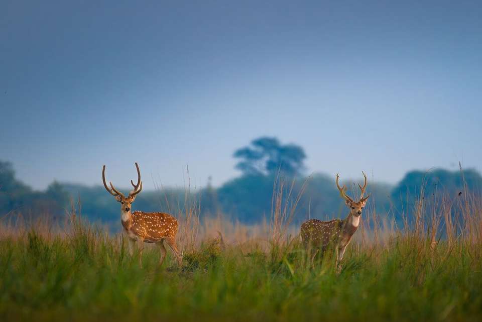India Golden Triangle Premium Family Holiday - Intrepid Travel - India - Image 8