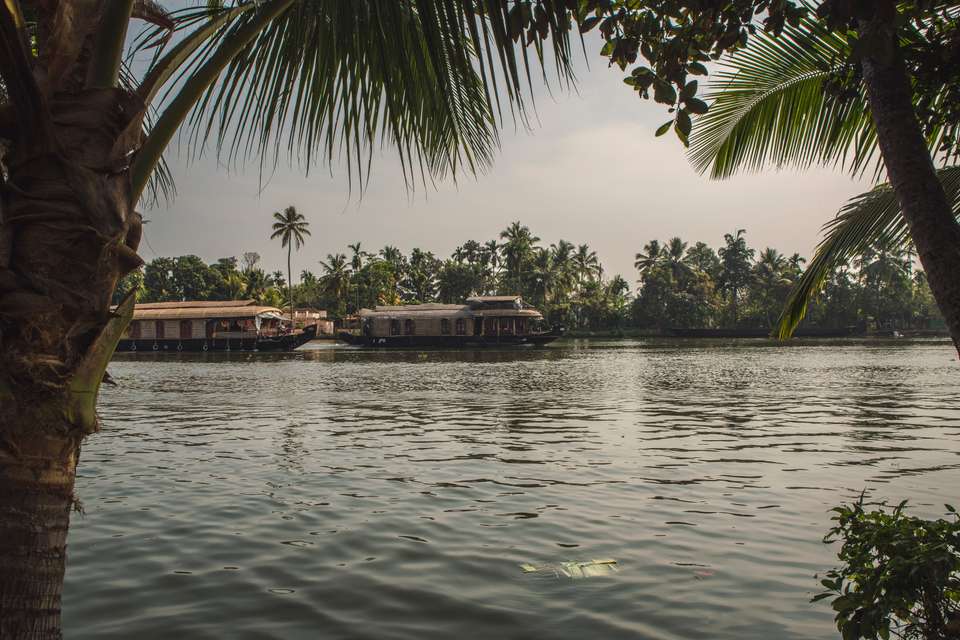 Image 2 of 16