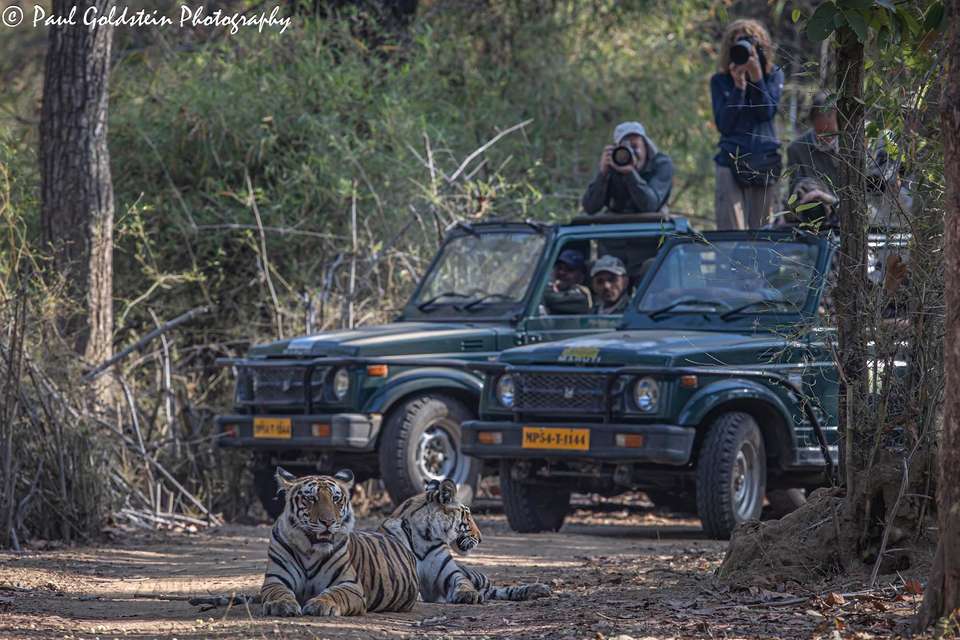 India Photography Safari with Paul Goldstein - Reverse Itinerary - undefined - Image 3