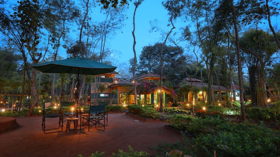 India Photography Safari with Paul Goldstein - Reverse Itinerary - undefined - Image 9