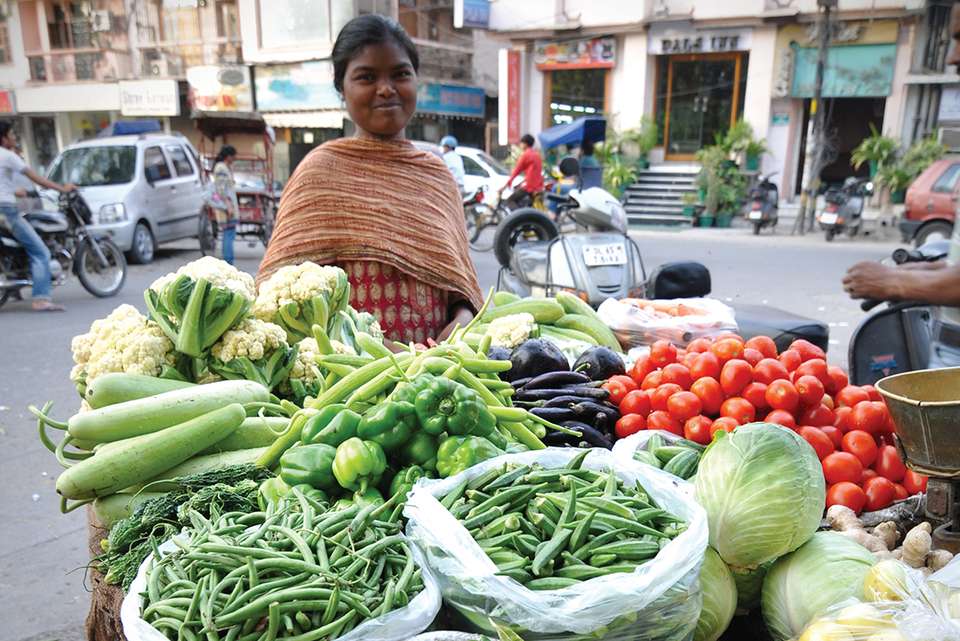 India Real Food Adventure - Intrepid Travel - India - Image 13