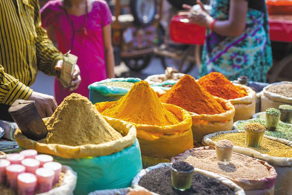 India Real Food Adventure - Intrepid Travel - India - Image 11