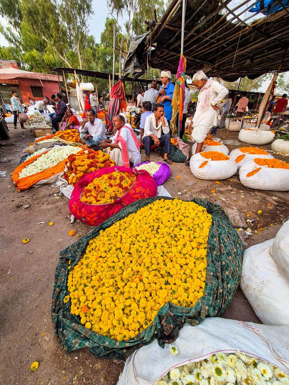 India's Golden Triangle - Exodus Adventure Travels - India - Image 14