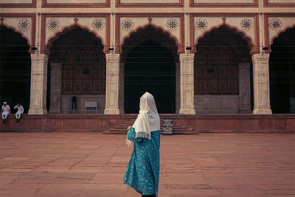 India Safari - Intrepid Travel - India - Image 16