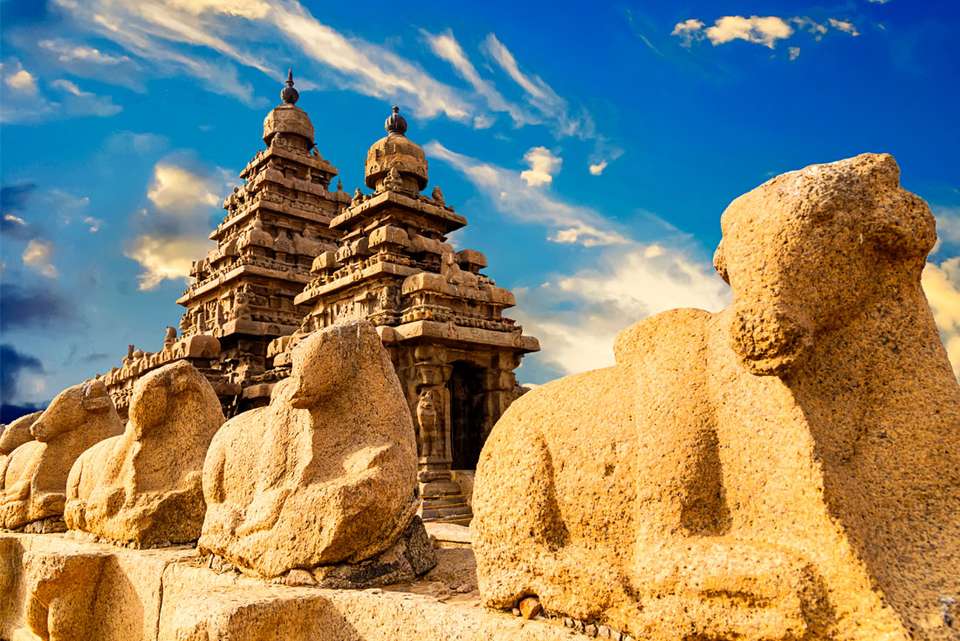 India South & North - Intrepid Travel - India - Image 3