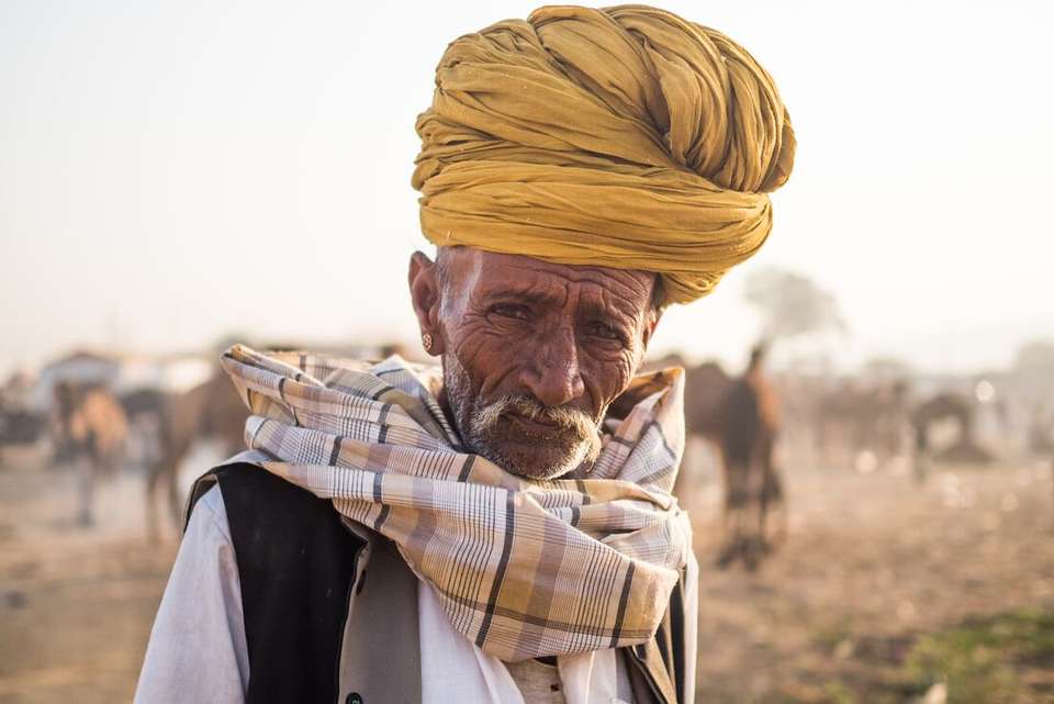 India South & North - Intrepid Travel - India - Image 5