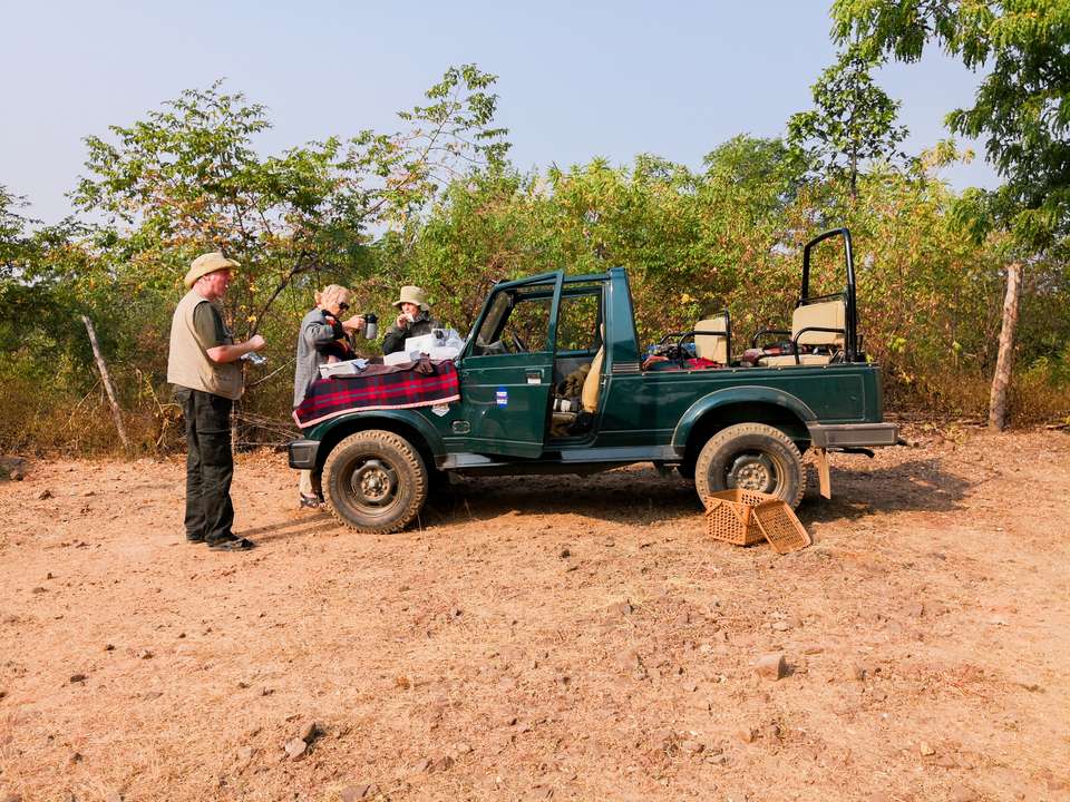 India Tiger Safari - Exodus Adventure Travels - India - Image 11