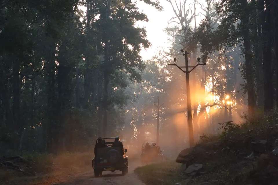India Tiger Safari - Exodus Adventure Travels - India - Image 3