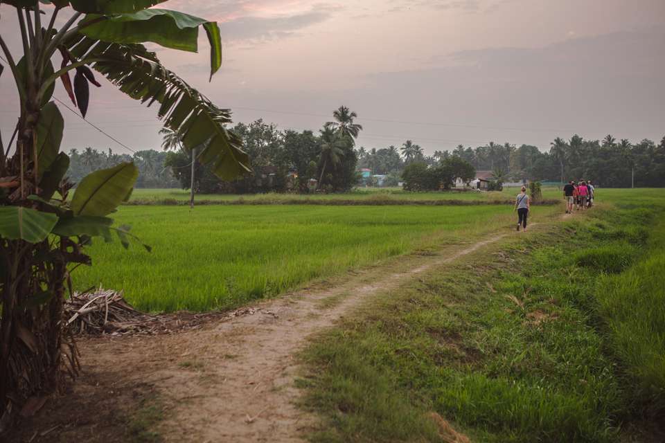 India to Sri Lanka: The Pink City & Spice Gardens - G Adventures - India