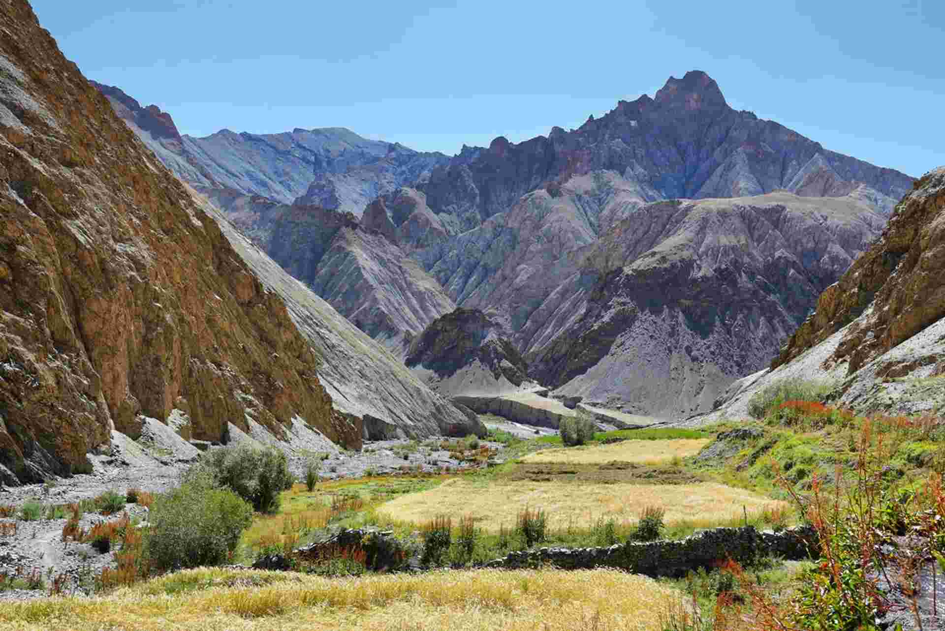 India: Trekking in Ladakh