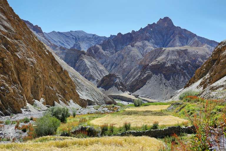 India: Trekking in Ladakh trip - alternative tour available