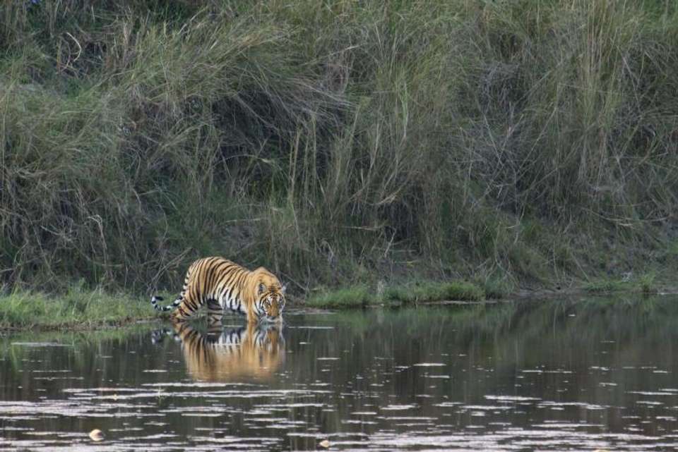 Indian Family Adventure - Encounters Travel - India - Image 3