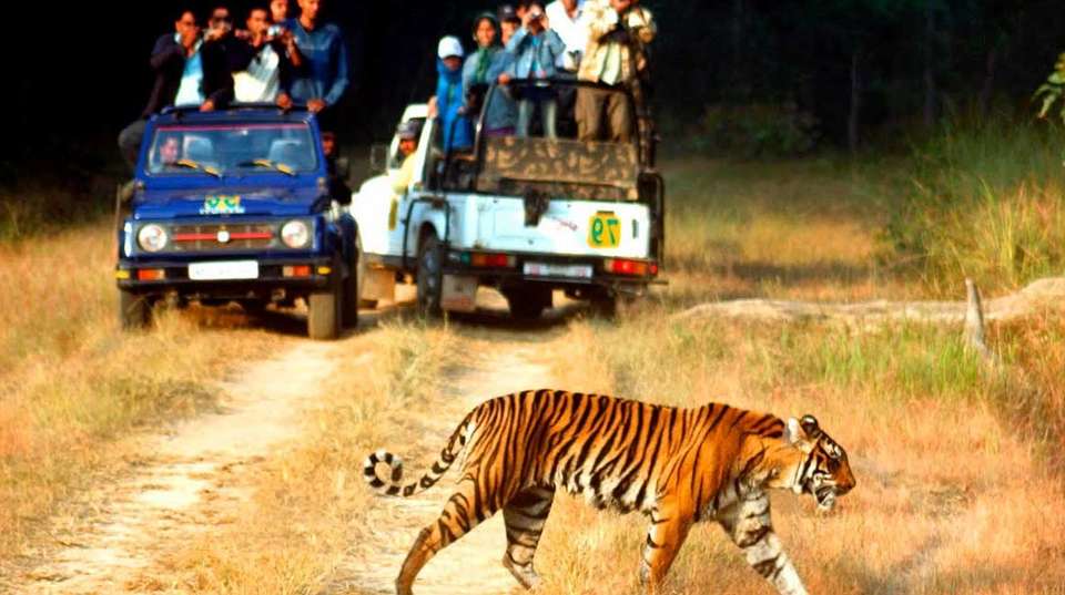 Indian Golden Triangle Tour With Ranthambore  - Ghum India Ghum - India - Image 6