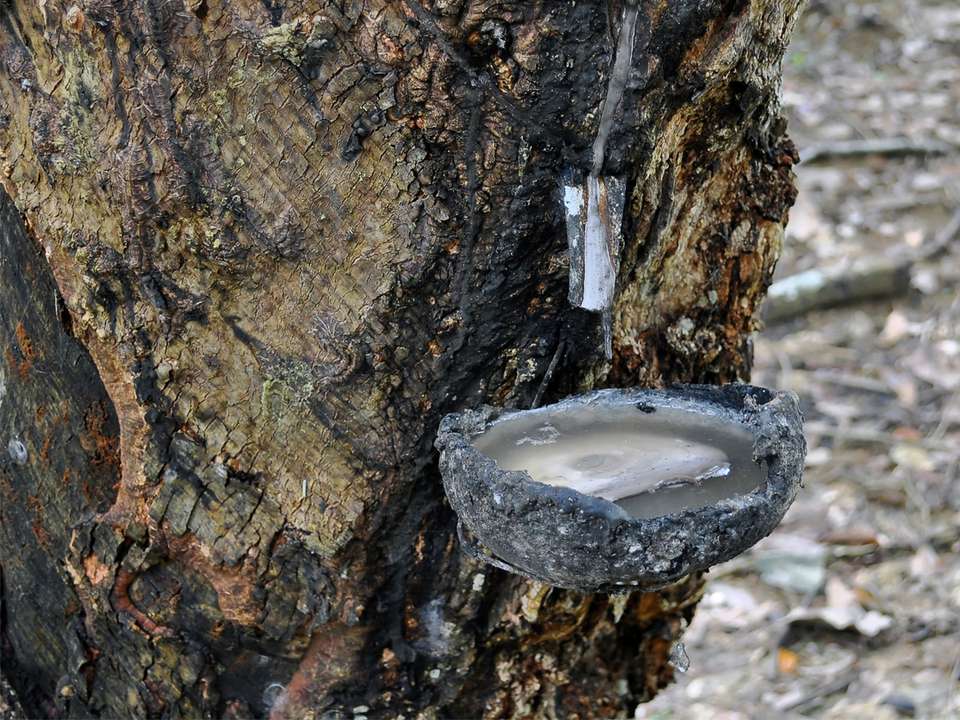 Image 2 of 10