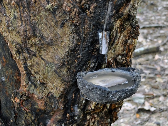 Image 2 of 10