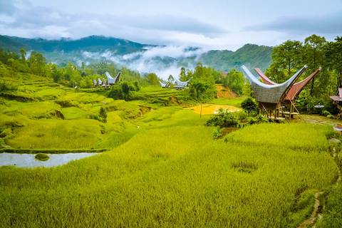 South East Asia Group Tours: Indonesia Expedition: Sulawesi & Toraja Tribes