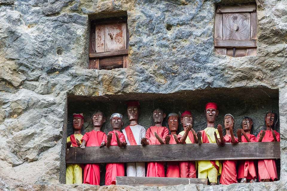 Indonesia Expedition: Sulawesi & Toraja Tribes - Intrepid Travel - Indonesia - Image 3
