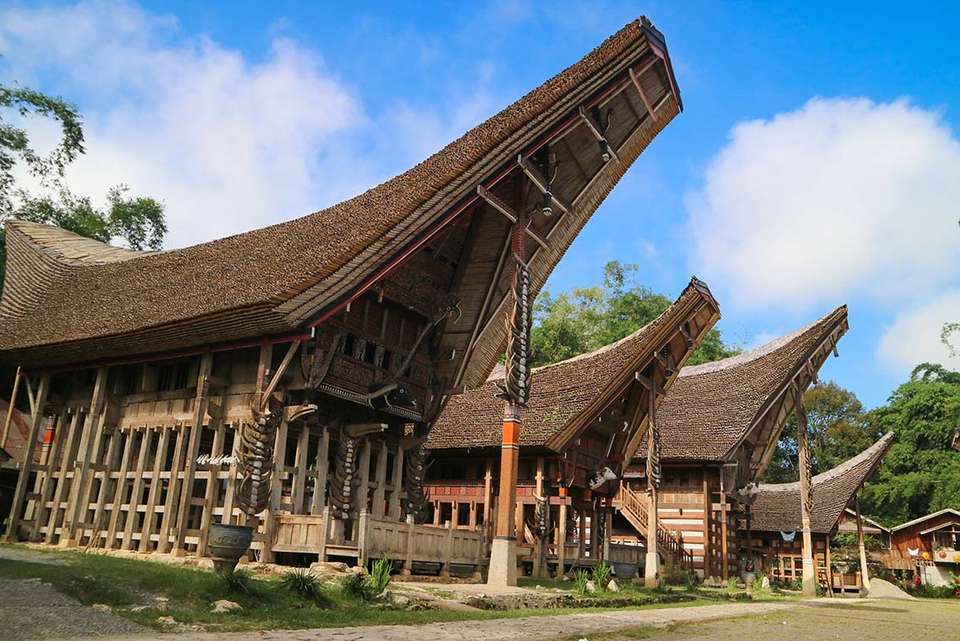 Indonesia Expedition: Sulawesi & Toraja Tribes - Intrepid Travel - Indonesia - Image 4