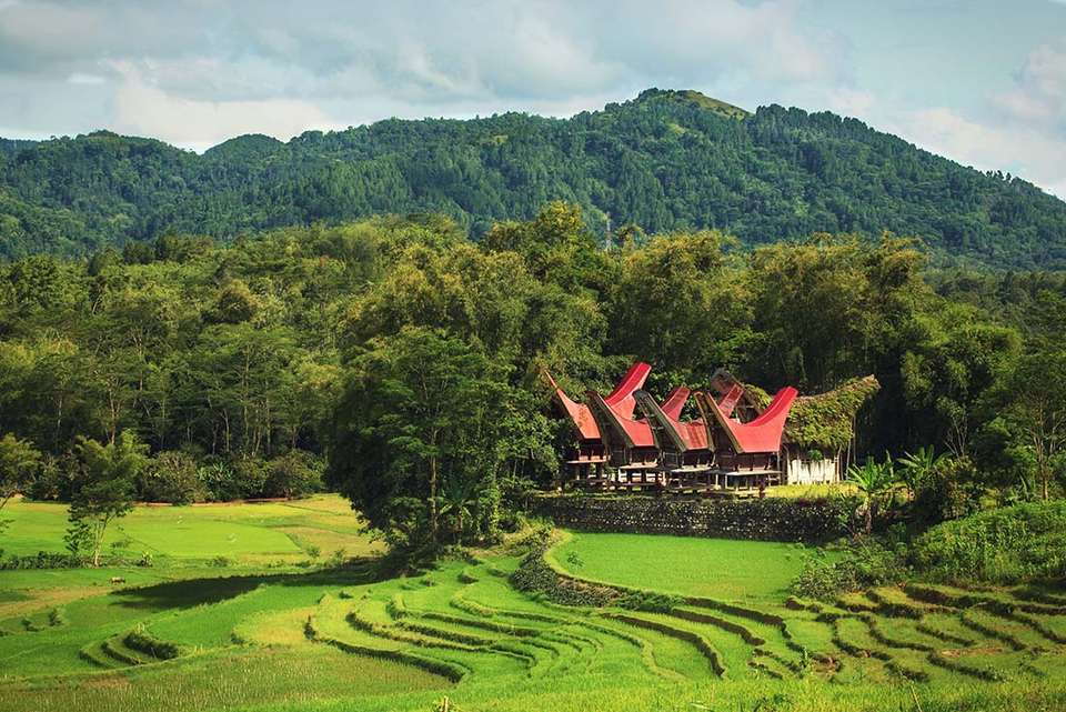 Indonesia Expedition: Sulawesi & Toraja Tribes - Intrepid Travel - Indonesia - Image 6