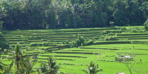 Explorer Tour: Indonesia: Jakarta, Bali & Lombok
