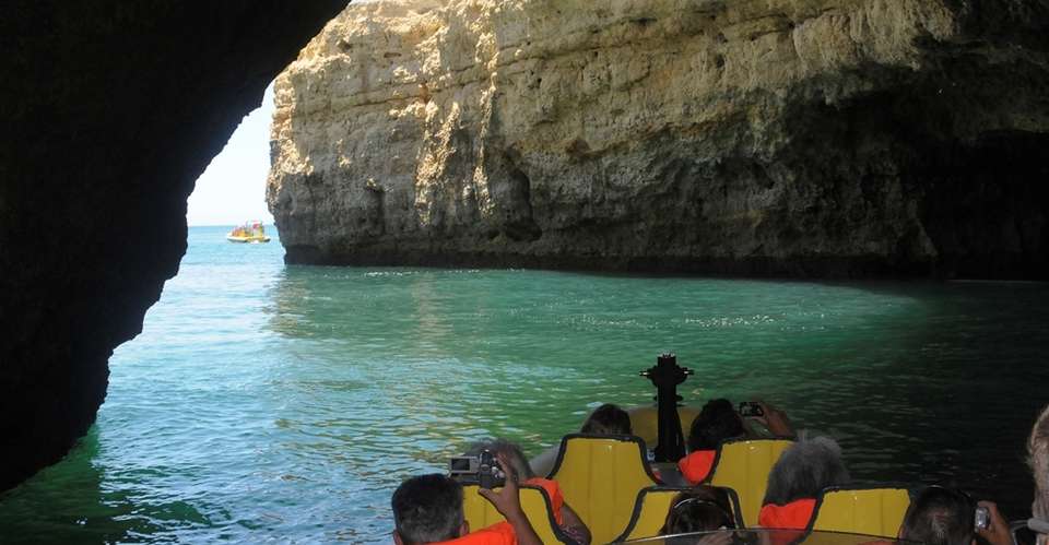 Insonia - Dolphin watching and Cave tour - Dream Wave World - Portugal - Image 3