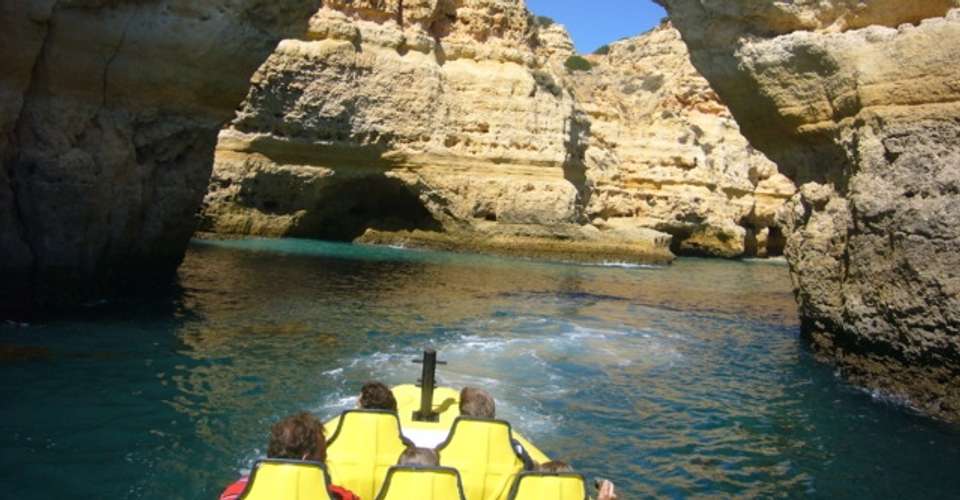 Insonia - Dolphin watching and Cave tour - Dream Wave World - Portugal - Image 4
