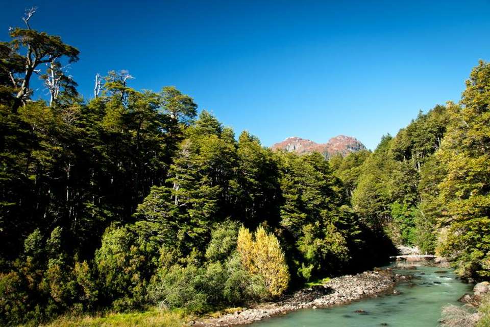 International lake-crossing to Chile from Bariloche - Tangol Tours - Argentina - Image 2