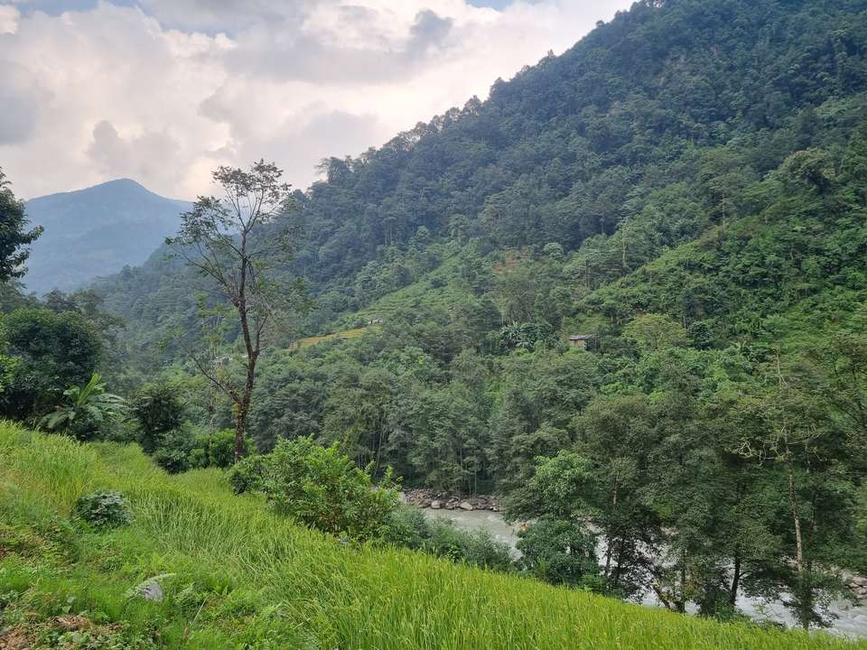 Into Nepal: Walks & Wildlife - undefined - Image 23