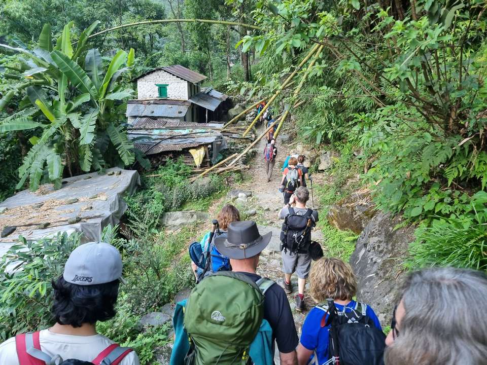 Into Nepal: Walks & Wildlife - undefined - Image 19