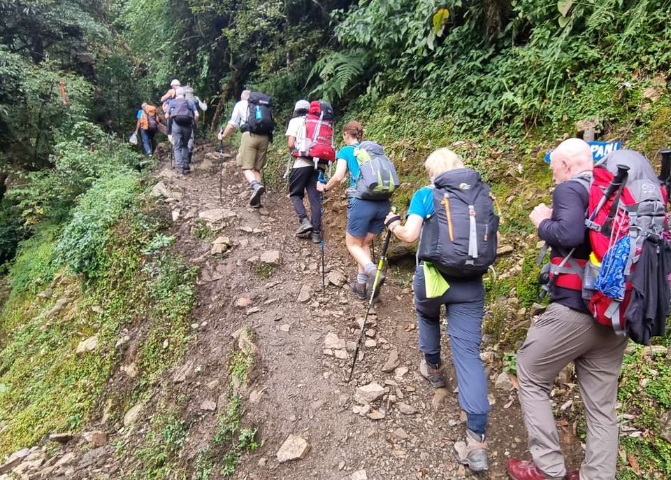Into Nepal: Walks & Wildlife - undefined - Image 17