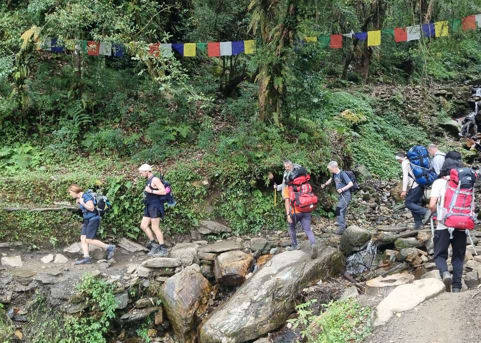 Into Nepal: Walks & Wildlife - undefined - Image 12