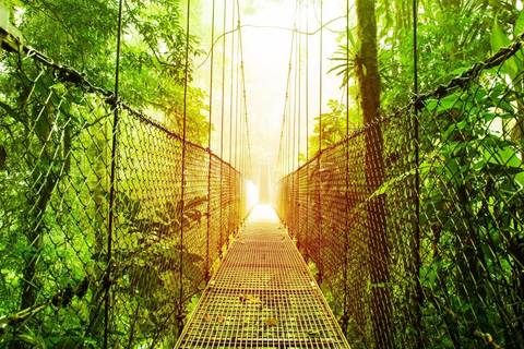Into The Wild: A Costa Rican Escape, Self-drive - 15 Days