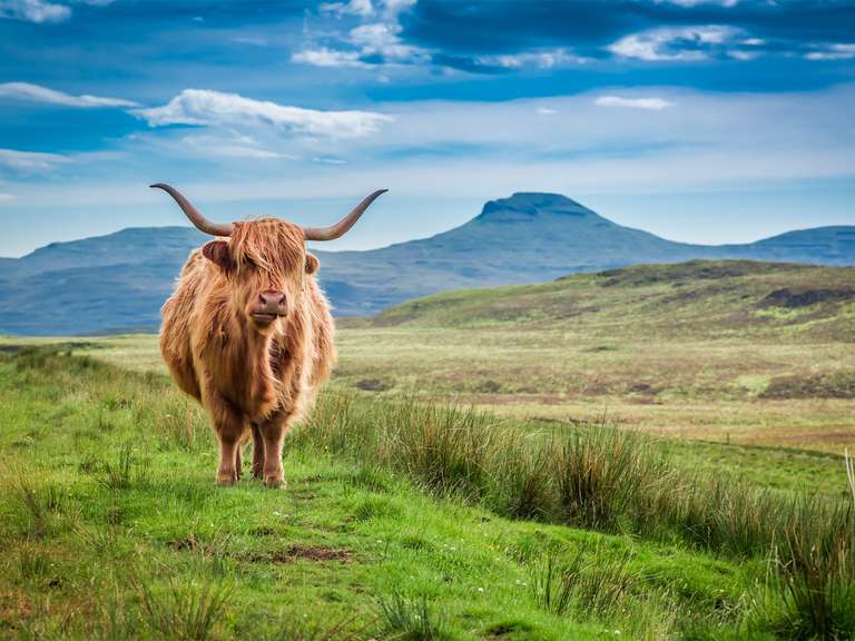 Inverness to Orkney - 3 days trip - alternative tour available