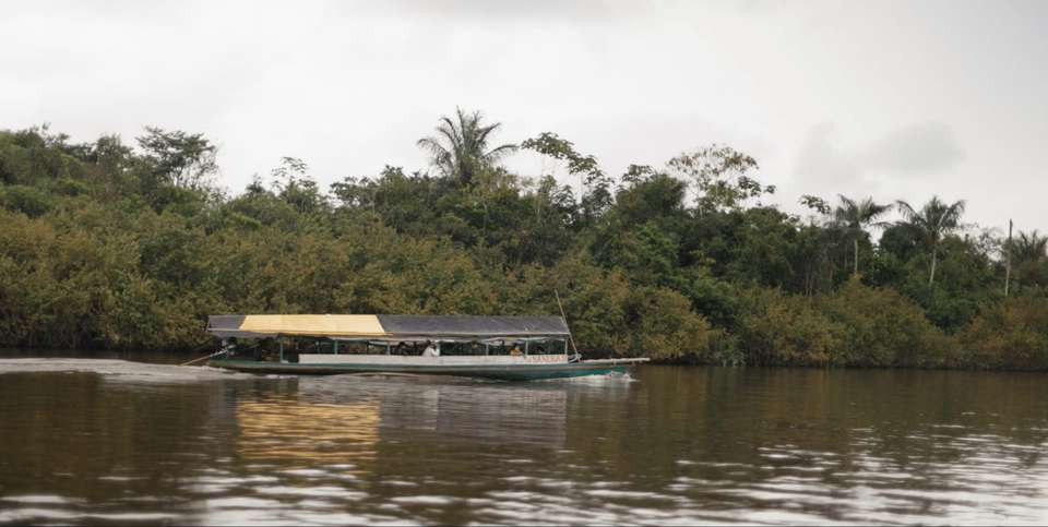 Iquitos Amazon Jungle Adventure 5D/4N - Bamba - Peru - Image 5