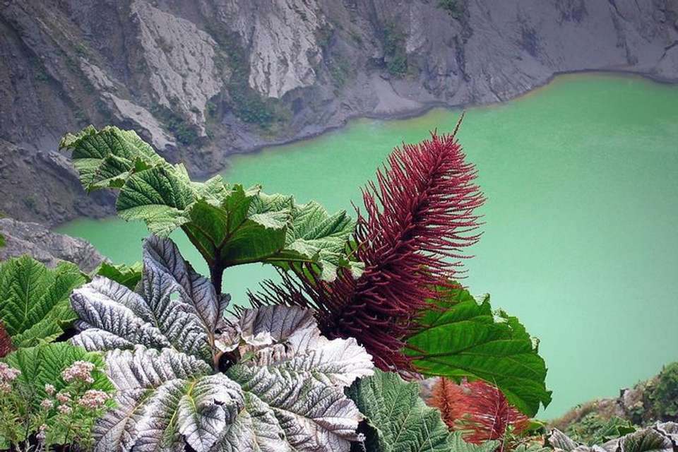 Irazu Volcano And Hacienda Orosi Hot Springs From San José - undefined - Image 14