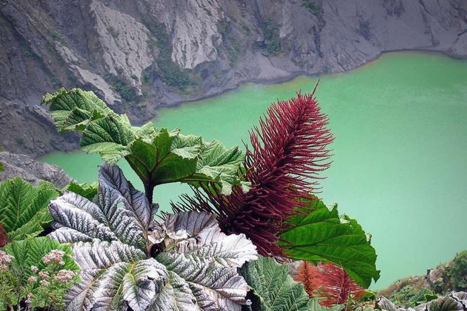 Irazu Volcano, Orosi And Lankester From San Jose - Destination Services - Costa Rica - Image 2